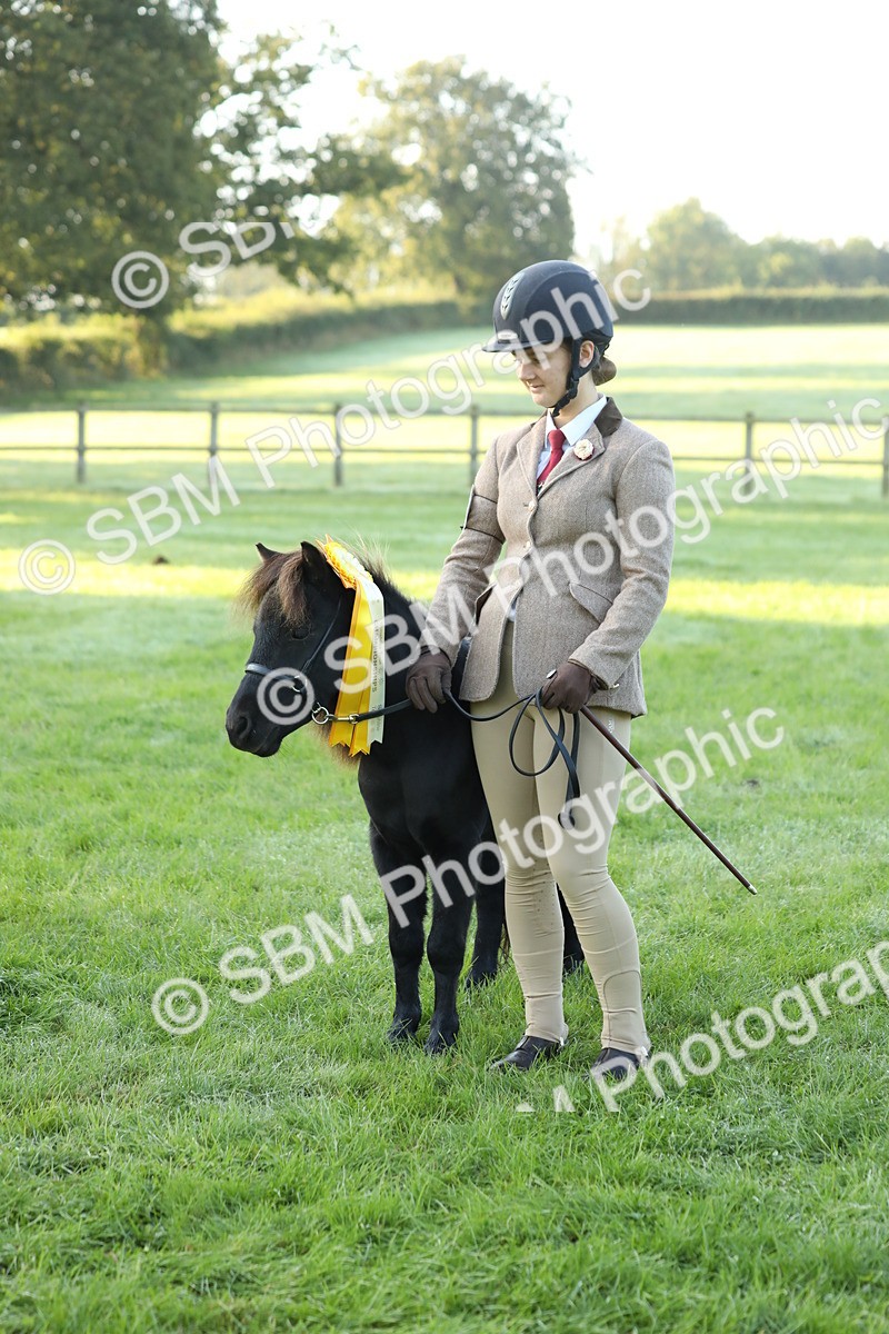 SBM_57881 - S42 - Youngstock