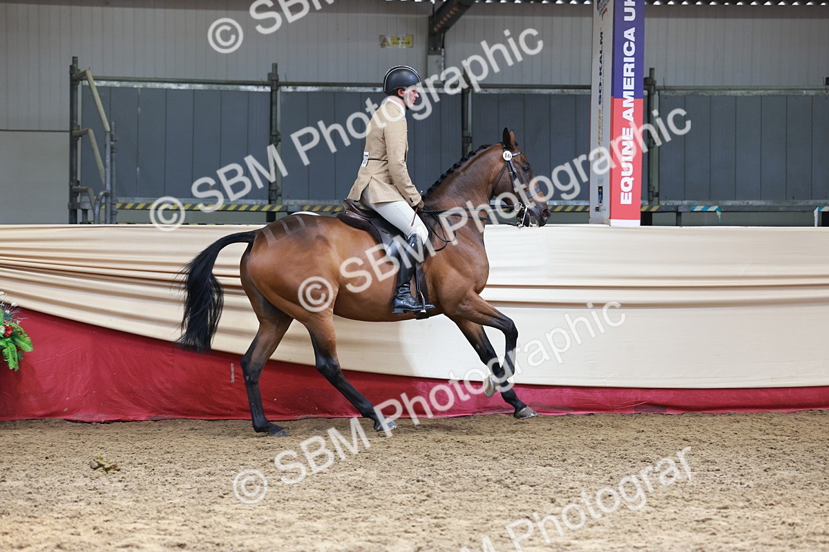 SBM_15005 - Class 108 - Ridden Retired Racehorse