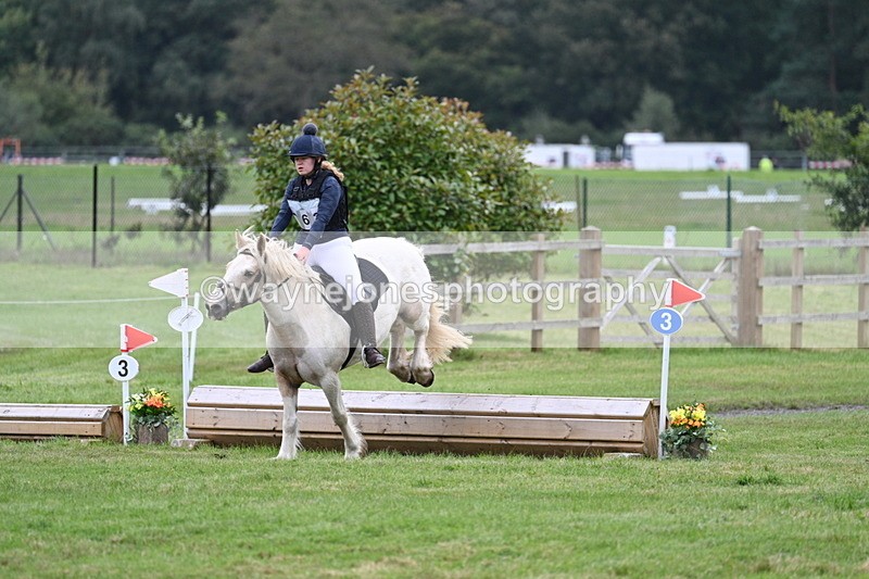 WJ7_8663 - 60cm Time 12:11 to 12:30