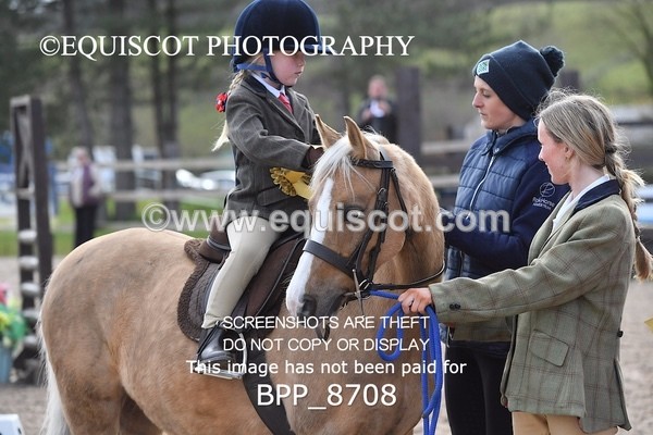 BPP_8708 - TRAINING STAKES