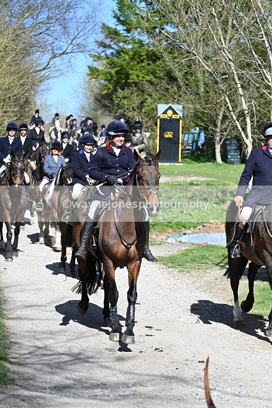 WJ7_9682 - Home for hunt tea !