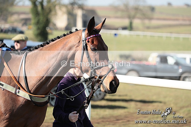 PtP 010325 7 - Beaufort Races Didmarton 01/03/25