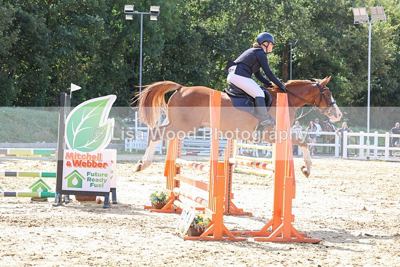 3E7A1110 - Class 4: Senior British Novice/90cm open