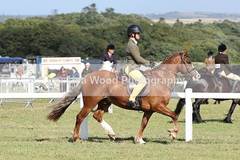 JPP_2872 - Class 20: Working Hunter 70cm