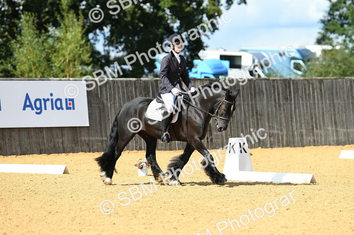 SBM_06595 - D15 Small Tour Championship Novice 24