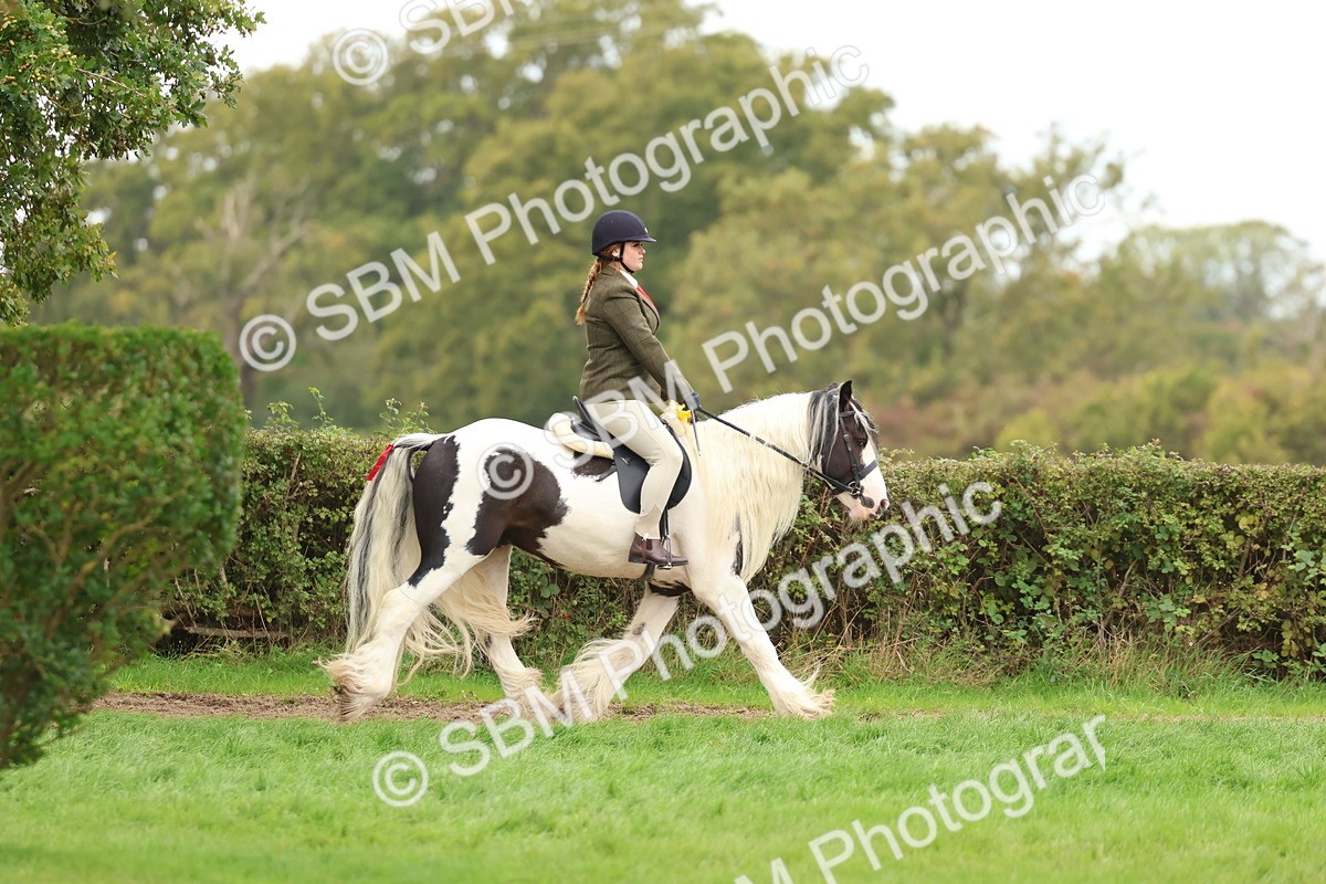 SBM_64685 - S58 - Coloured Pony Ridden