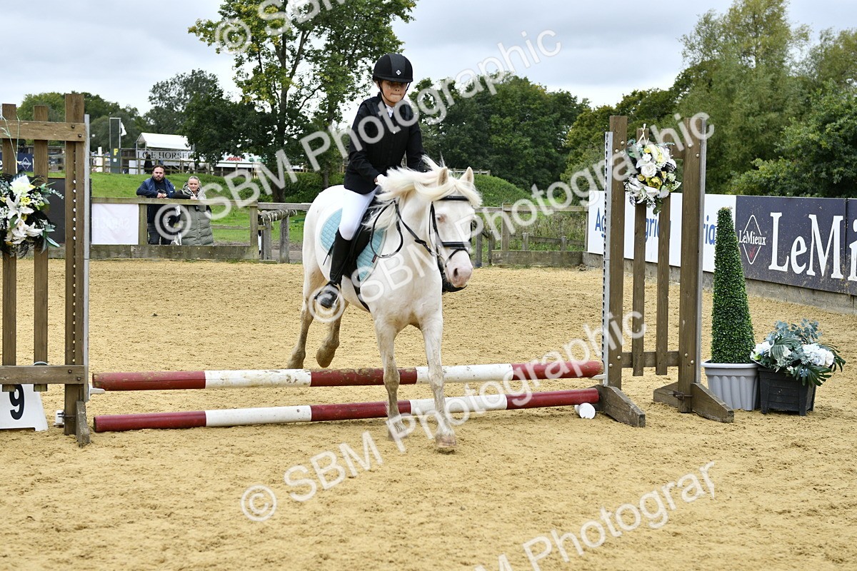 SBM_68001 - J2b - Mini Tour Junior Pony 30cm championship