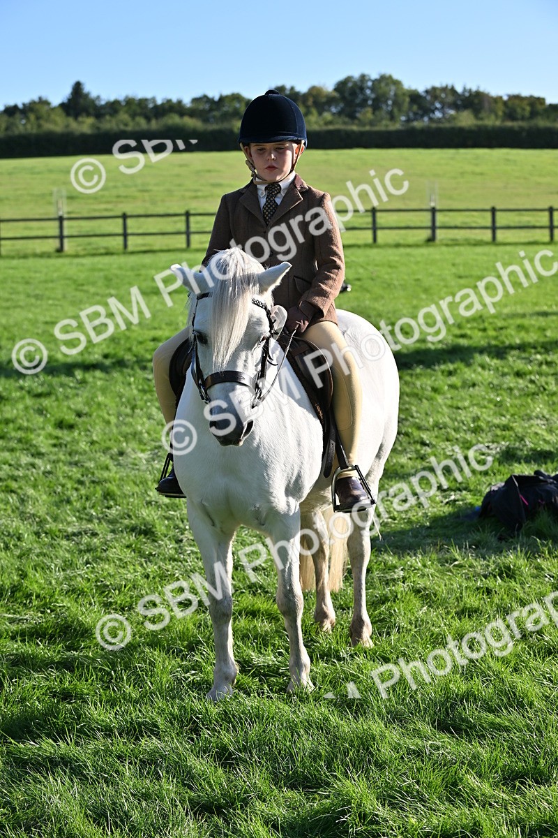SBM_53070 - S23 - First Ridden Mountain & Moorland Pony