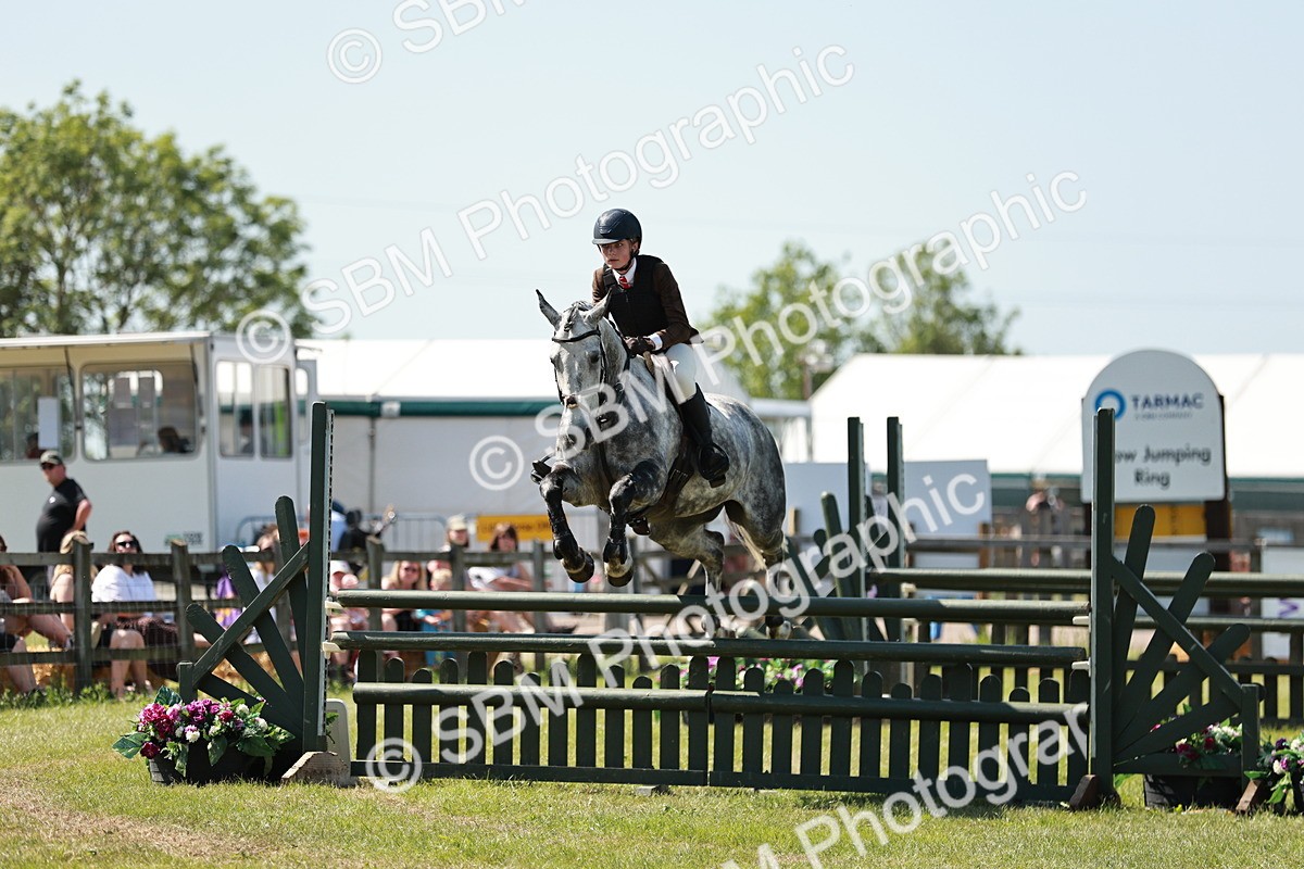 SBM_18373 - Class 112-113 - BSPS LIHS Working Sports Pony