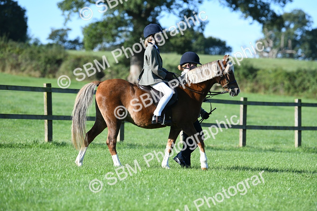 SBM_35293 - S17 - Condition & Turnout - Lead Rein