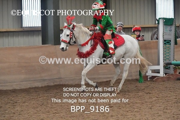 BPP_9186 - CLASS 4 50CM Novice Show Jumping