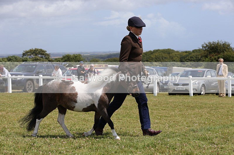1X9A4830 - Class 35: Veteran In Hand
