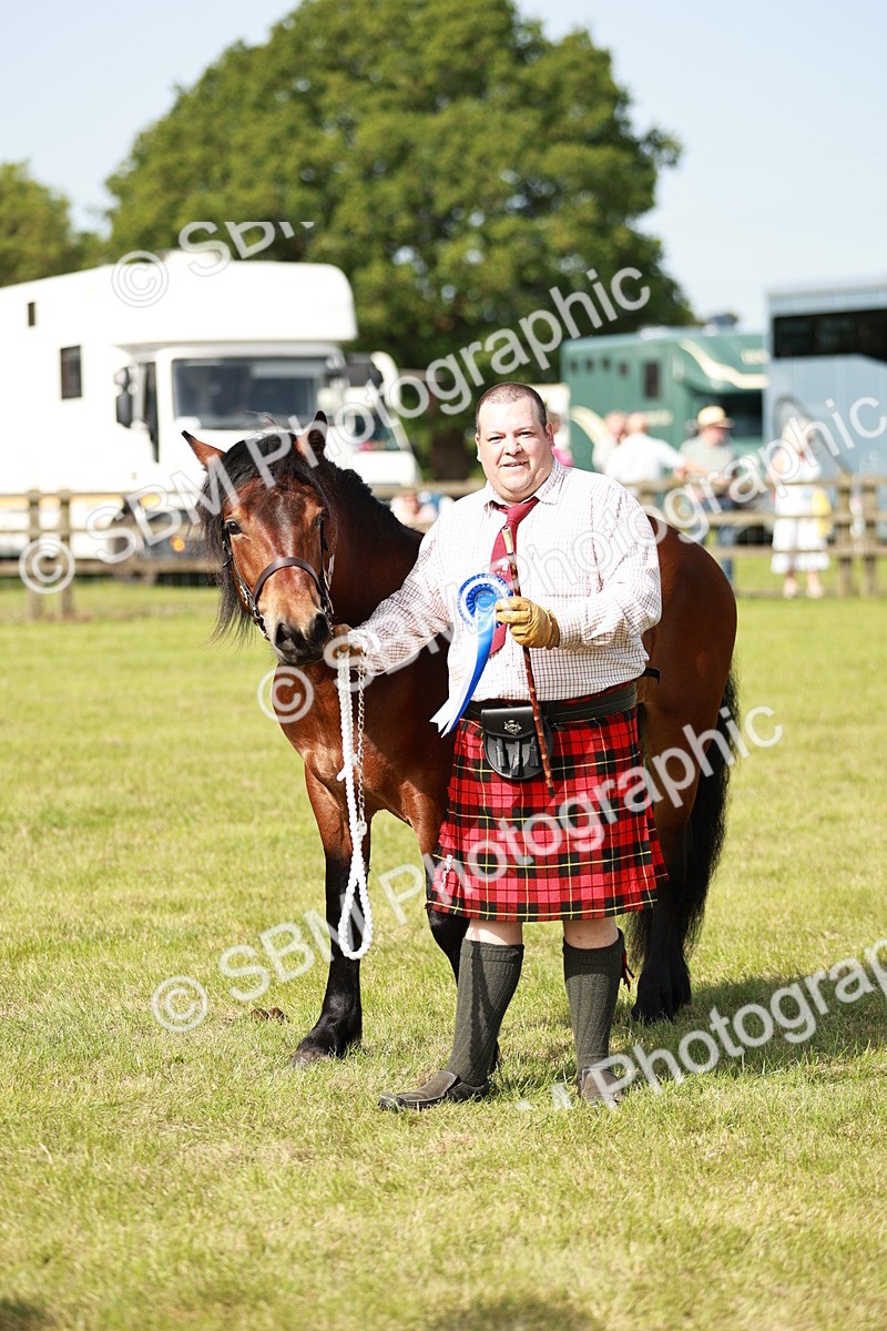 SBM_01606 - Class 14-23 - Mountain & Moorland In Hand Non Welsh