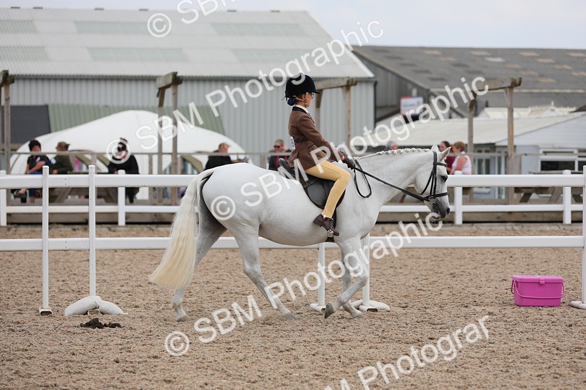 SBM_16851 - Class 314 Family Horse/Pony