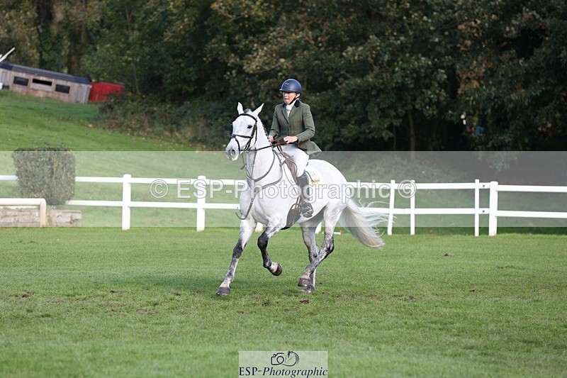 231022-111911-25093 - 624-CORRIEVIEW.OSCAR-Jane.Rogers-TrotUp+SJ