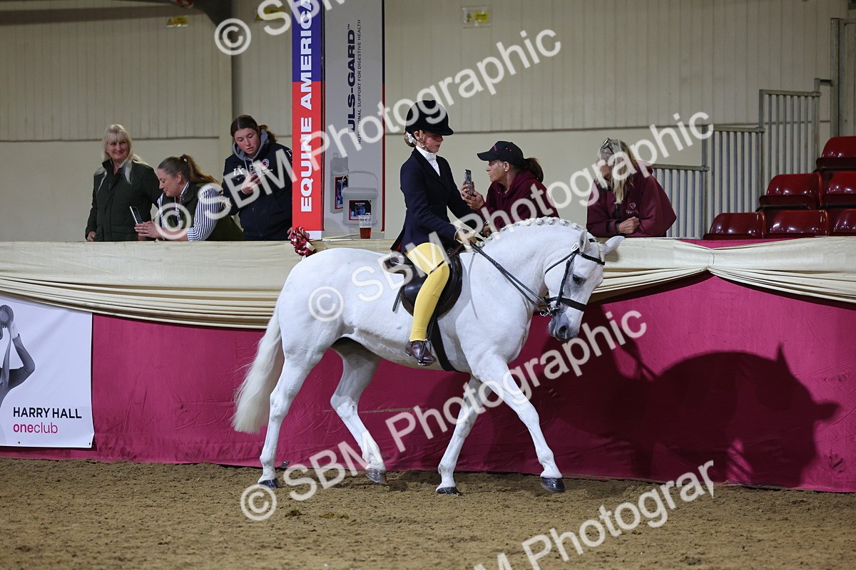 0B8A4618 - Class R Working Veteran Champ