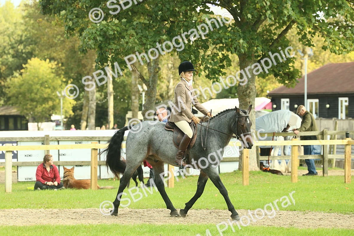 SBM_62608 - S63 - Other Coloured Horse Ridden