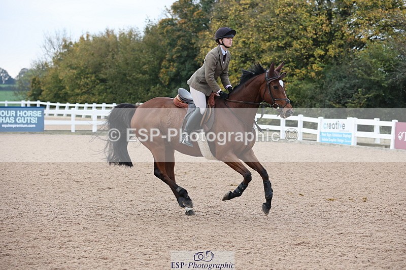 241101A-083115-00267 - FRI Cls 2 British Novice and 90cm Open