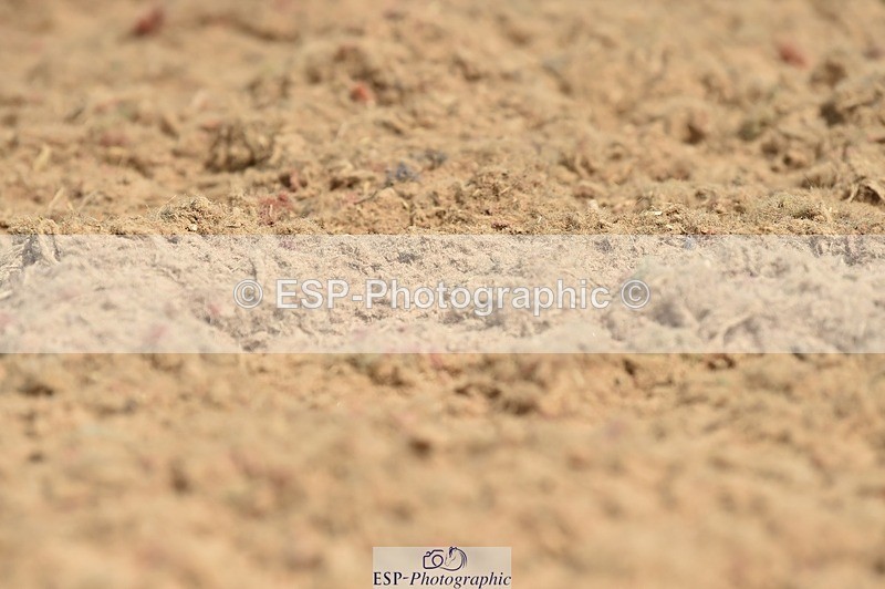 250622-102224-12937 - Quest Cls 19-24 Intro Tests