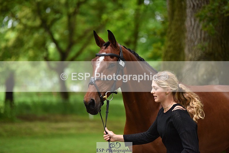 240522-173020-01659 - 292-MY_DREAM_H.J.-Pippa_Royle