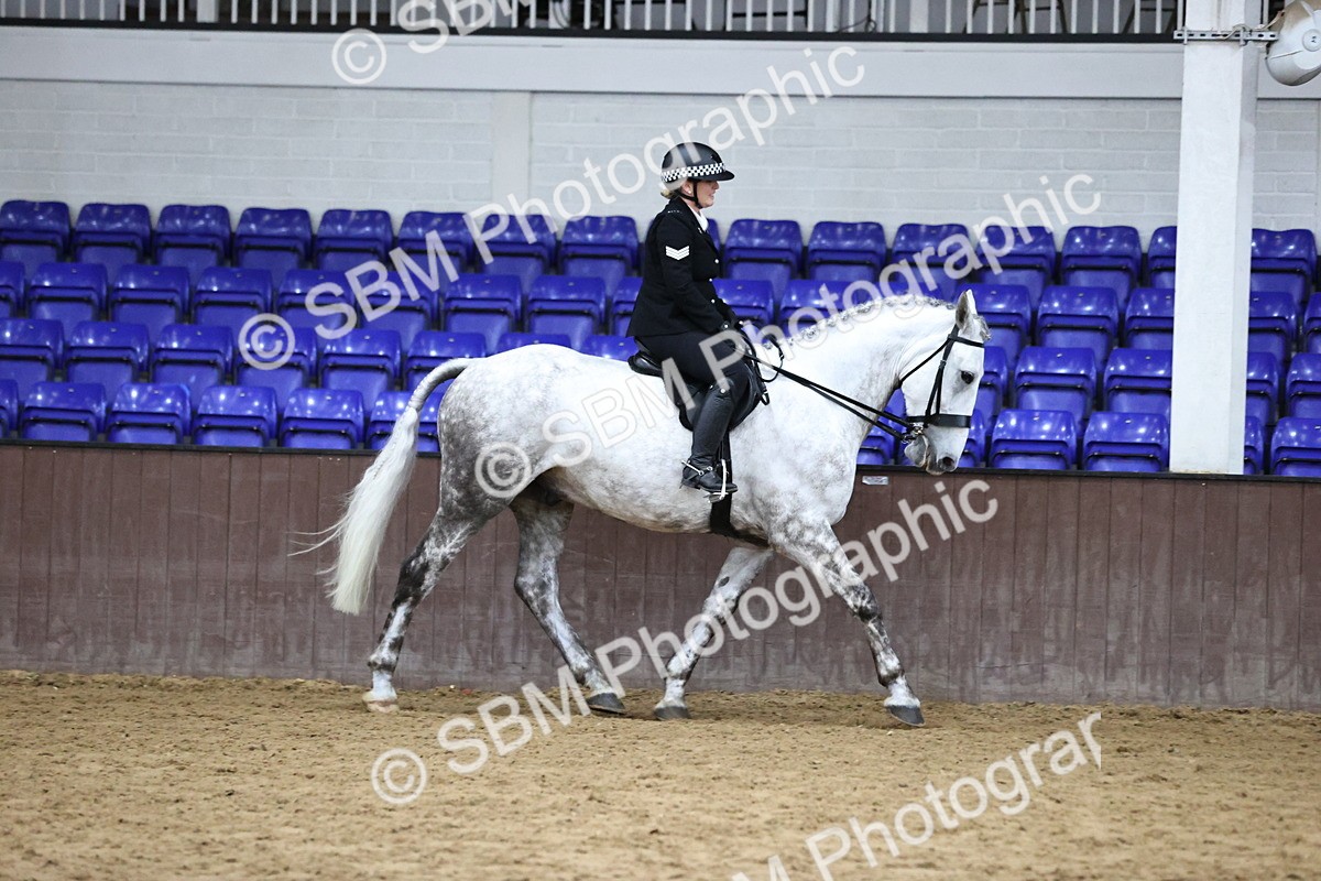 SBM_6301 - Class 17 - IDHSG Challenge Pure Breed