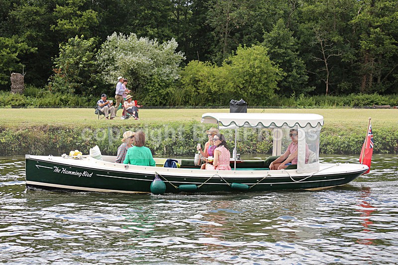 140706 THE HUMMING BIRD WT7A9853 - HENLEY ROYAL REGATTA - SUNDAY 6th July 2014