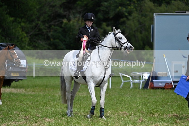WJ7_1837 - Class 9 Pony Club Pony