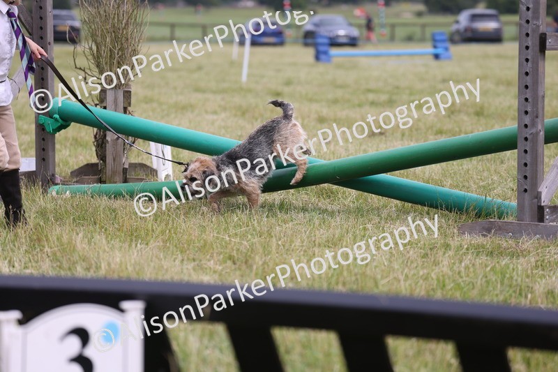 20260614-4376 - Class 25 - Horse and Hound Jumping