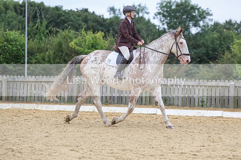 3E7A5005 - Class 2: Intro 4 2024 section B