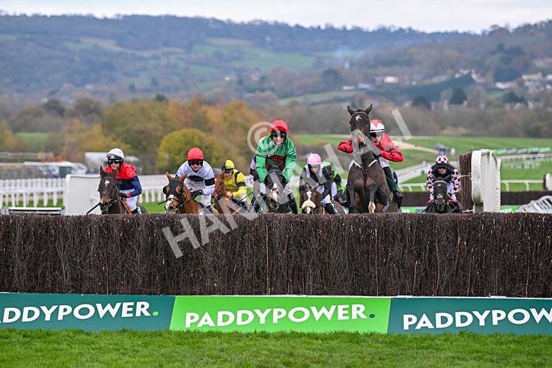 161124-Race 2-The Newest One-9584 - Race 2