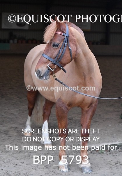 BPP_5793 - Sarah Page