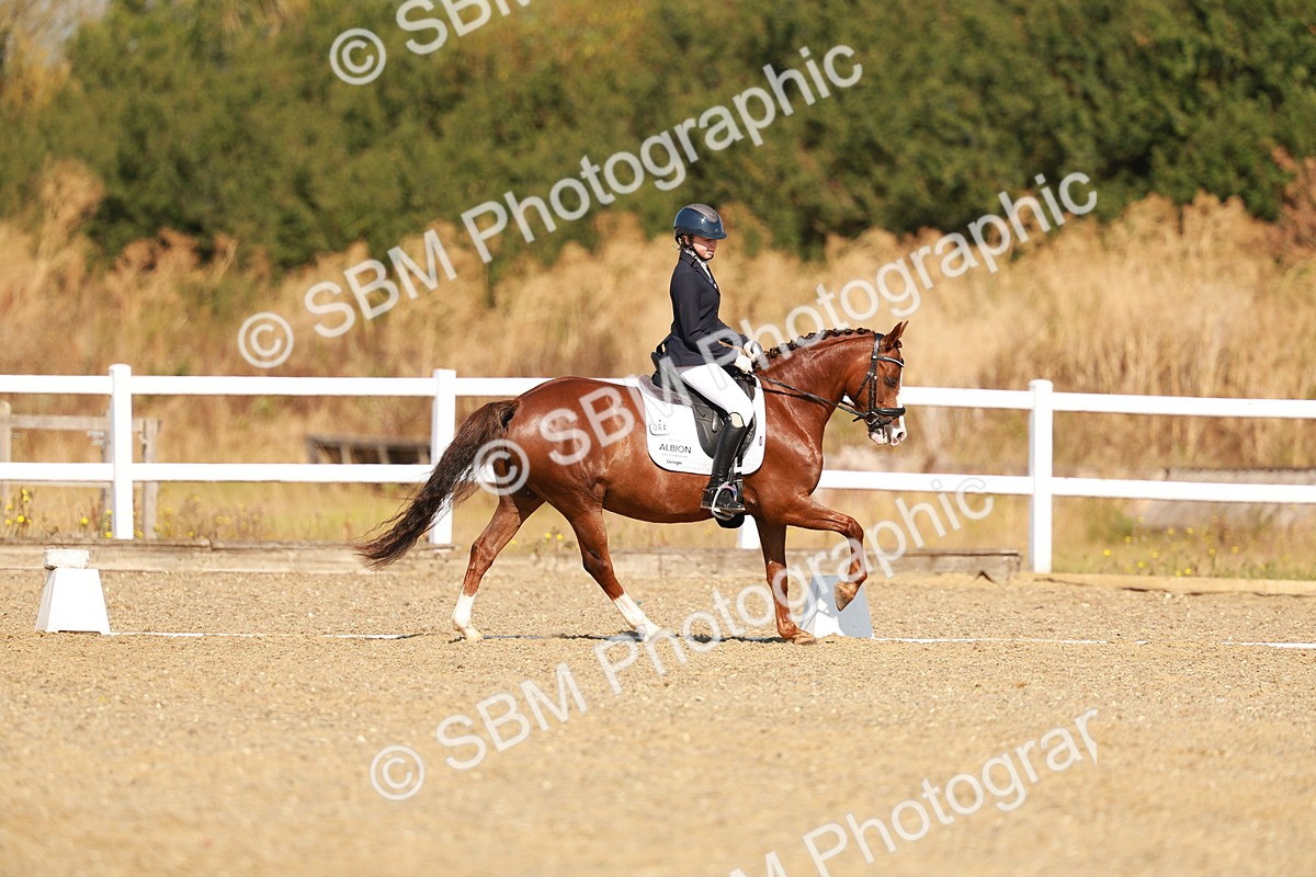 SBM_016805 - Class 9 - N5 Bronze 9.30.10.19