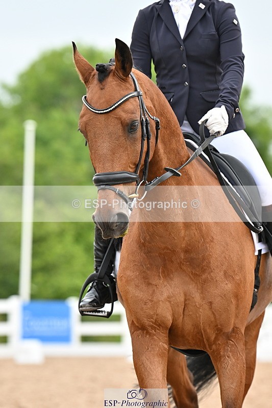 240623A-120444-17830 - Cls 48 BD Novice 37A