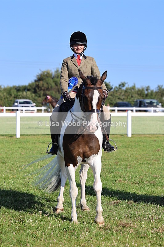 IMG_1349 - Class 27: Ridden Plaited Coloured Horse