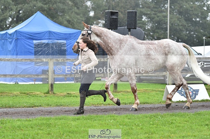 231018-122826-00315 - 038-IRISH.KONNECTION-Natasha.Anson-TrotUp