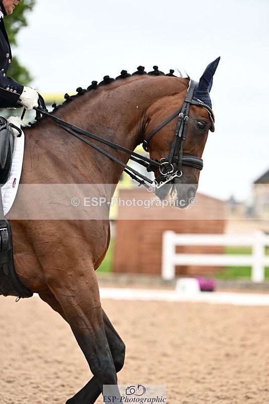 240623A-155413-19976 - Cls 59 BD FEI PSG