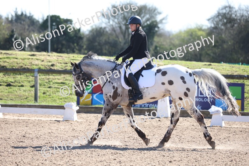 20260318-0468 - Class 5 - Novice 2