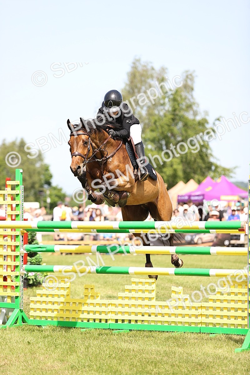 SBM_03985 - Class 201 - British Horse Feedds Speedi Beet HOYS Grade C