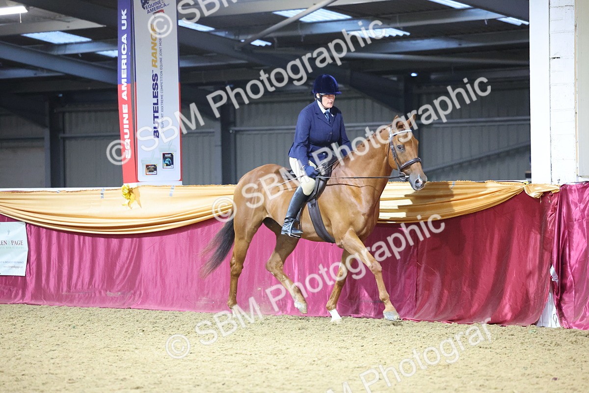 0B8A4273 - Class 108Ridden Retired Racehorse- Final Judging