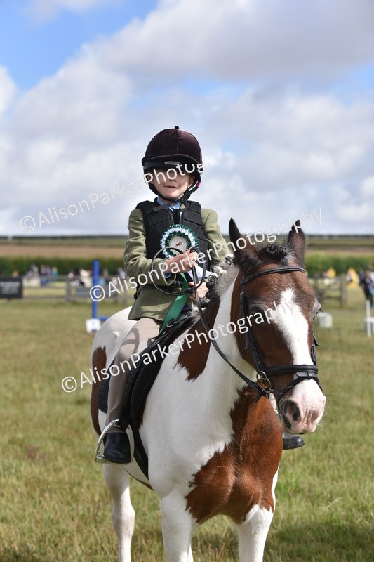 20250831-0506 - Class 7 - Absolute Novice 35cm