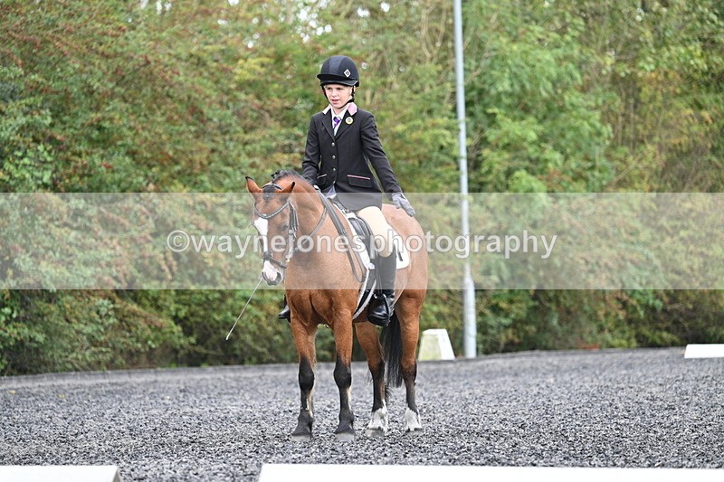 WJ7_4040 - Time 11:04 to 11:38