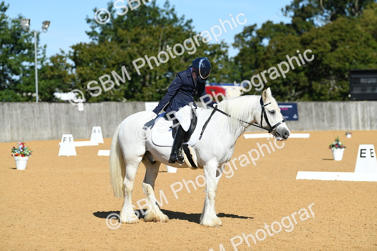 SBM_18119 - D4 - Small Tour Championship - Intro B