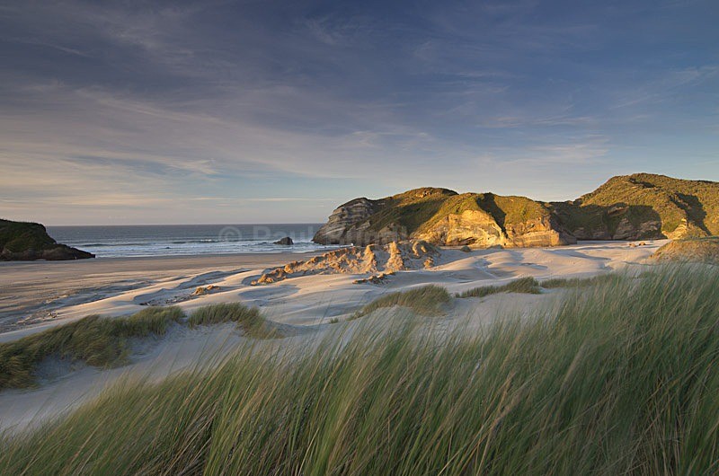 Wharariki Beach evening - New Zealand South Island