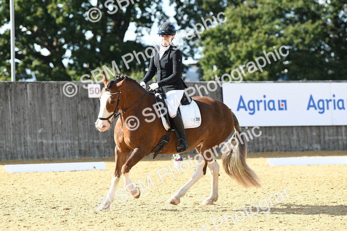 SBM_27115 - D16 - Small Tour Championship - Novice 28