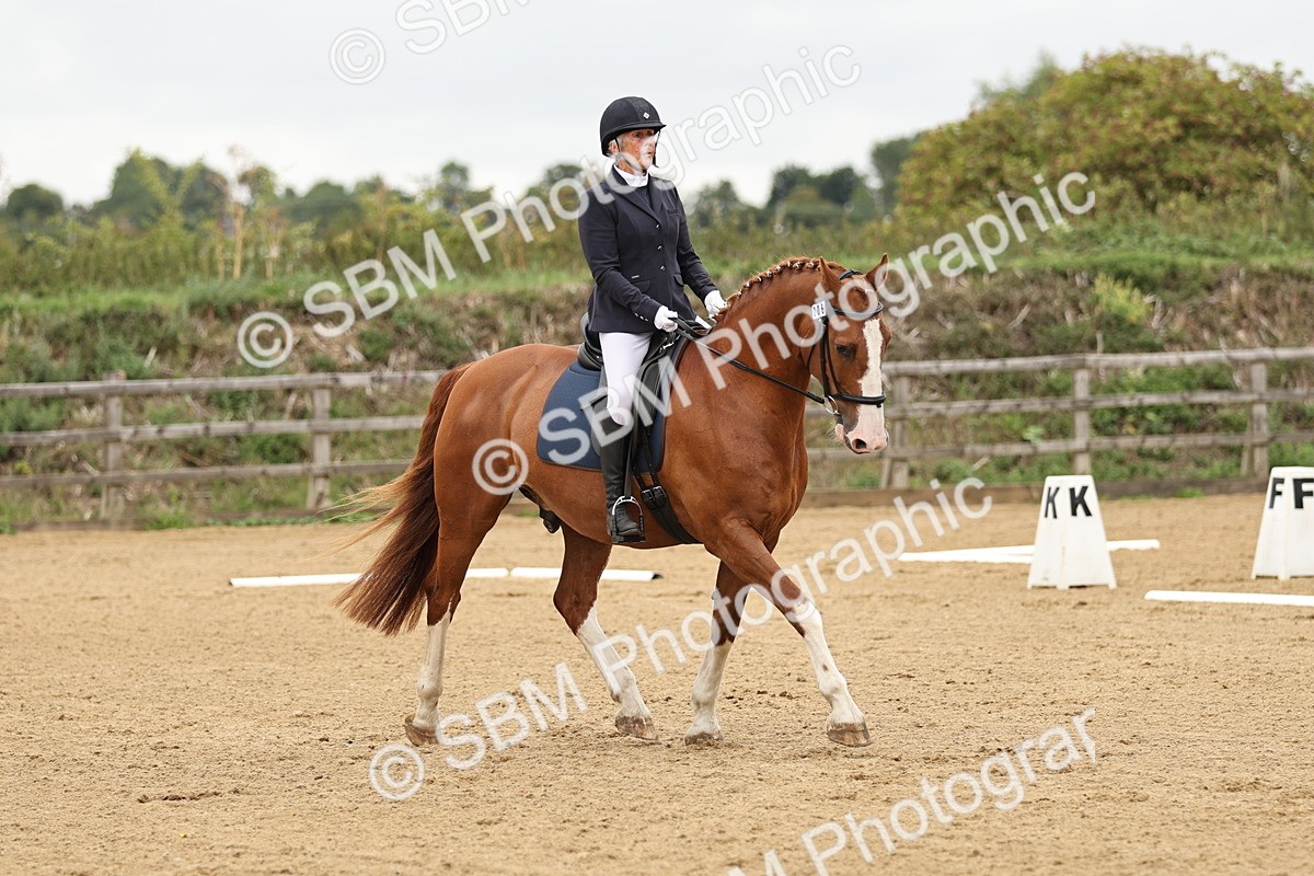 SBM_002166 - Prelim 1