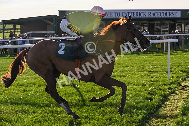 211125-Race 3-Heather Honey-7313 - Race 3