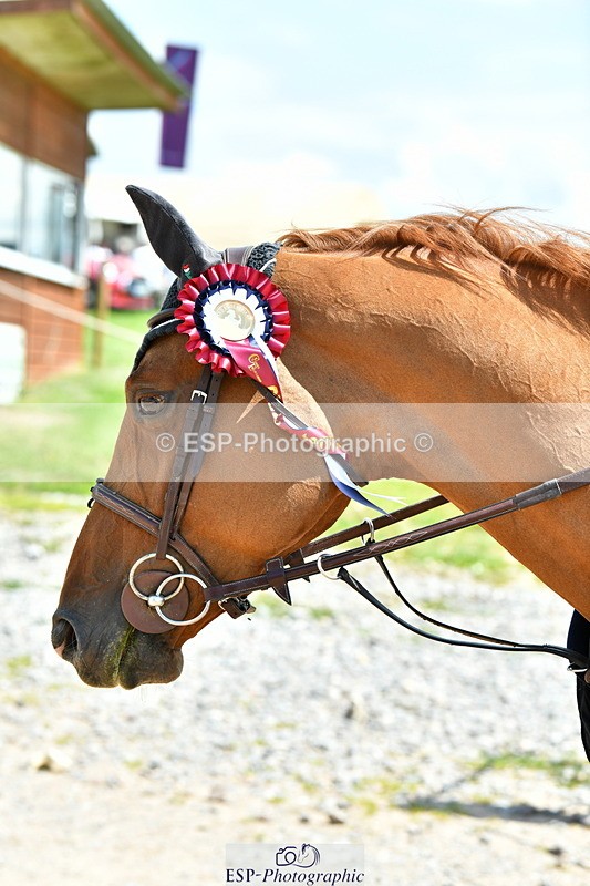 230720A-130116-03023 - Cls 33, 7 Yr Olds 1.30m