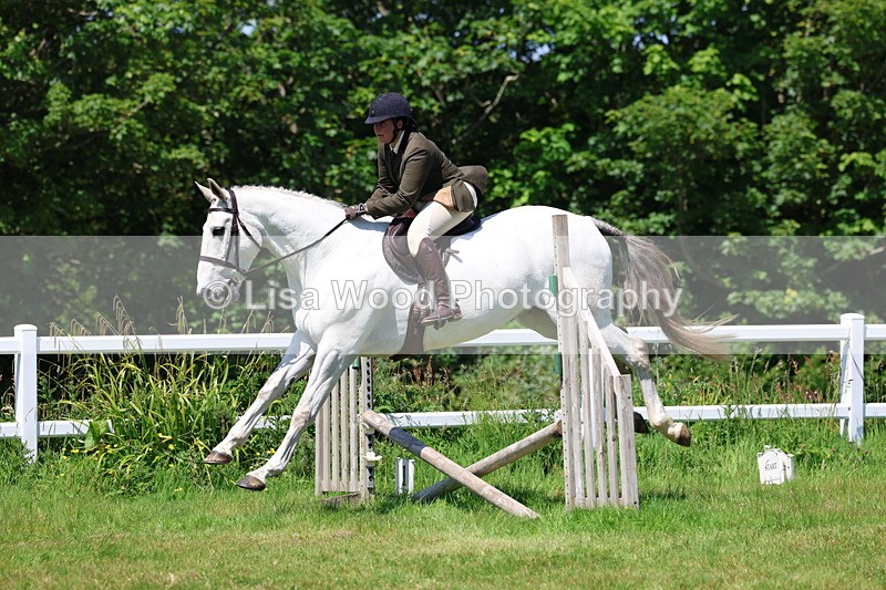 3E7A7480 - Class 31: Working Hunter Cob/Riding Horse