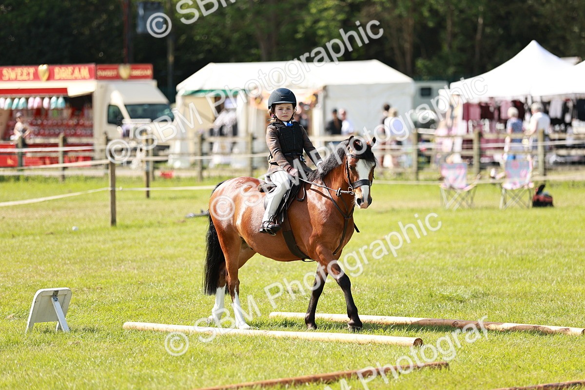 SBM_12729 - Class 106-107 - BSPS LIHS Working Sports Pony