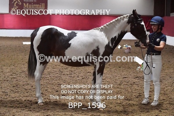 BPP_1596 - MORNING 9AM - 12PM